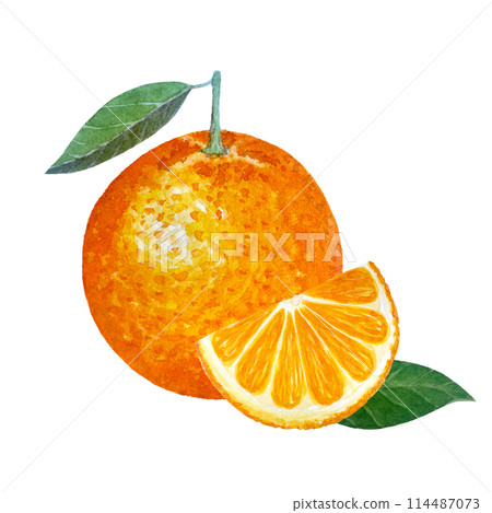 Orange whole fruit with a green leaf and a slice watercolor composition isolated on white. High quality hand drawn art for food design, packages, menu, natural organic food, label, logo and decor Orange whole fruit with a green leaf and a slice watercolor composition isolated on white. High quality hand drawn art for food design, packages, menu, natural organic food, label, logo and decor 114487073