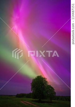 Aurora borealis is a natural light show in the sky resembling a rainbow Aurora borealis is a natural light show in the sky resembling a rainbow 114487151