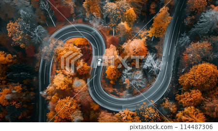 Scenic Autumn Road Winding Through Vibrant Forest, Aerial View. Perfect for Travel and Nature Themes. Ideal for Wall Art and Calendars. AI Scenic Autumn Road Winding Through Vibrant Forest, Aerial View. Perfect for Travel and Nature Themes. Ideal for Wall Art and Calendars. AI 114487306