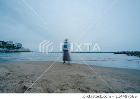 俯瞰熱海海灘的女人 俯瞰熱海海灘的女人 114487569