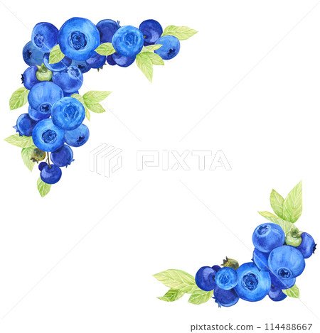Corner composition of blueberries. Watercolor blue berries, greens and leaves. Branch of garden berries harvest of natural products. Illustration for packaging of eco-products, label for blueberry jam 114488667
