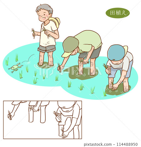 孩子們正在插秧 114488950