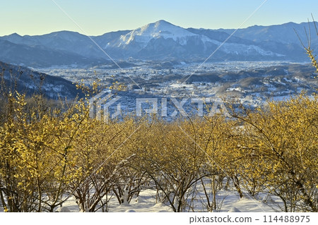 Snow on the summit of Mt. Hodo in Nagatoro Town, the blooming wintersweet garden, and Mt. Buko Snow on the summit of Mt. Hodo in Nagatoro Town, the blooming wintersweet garden, and Mt. Buko 114488975