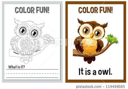Color Fun Owl Illustration and Activity Color Fun Owl Illustration and Activity 114489085