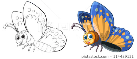 Colorful Butterfly Illustration and Sketch Colorful Butterfly Illustration and Sketch 114489131