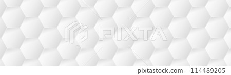 Abstract background with white geometric hexagon. Modern minimal trendy lines pattern horizontal. Vector illustration Abstract background with white geometric hexagon. Modern minimal trendy lines pattern horizontal. Vector illustration 114489205
