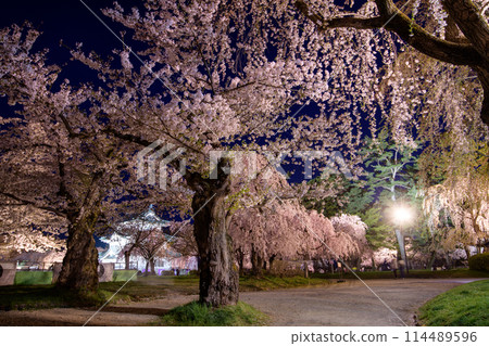 青森縣弘前城夜間的壯麗景色，主城堡塔樓上佈滿了燈光櫻花 114489596