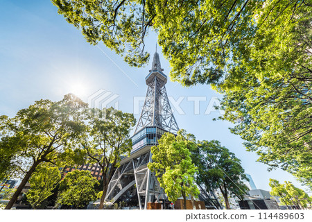 Looking up at Chubu Electric Power Mirai Tower surrounded by fresh greenery 114489603
