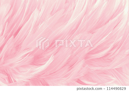 Beautiful soft pink bird feathers pattern texture background. Beautiful soft pink bird feathers pattern texture background. 114490829