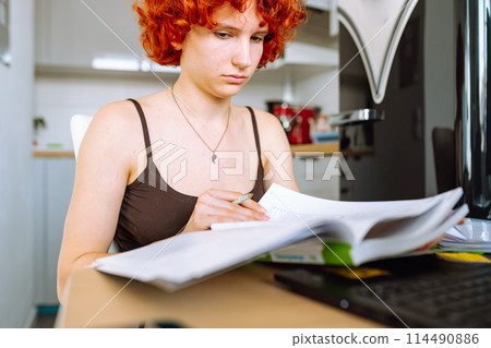 portrait red-haired teenage girl sitting at table in room using computer portrait red-haired teenage girl sitting at table in room using computer 114490886