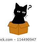 一隻貓在小盒子裡的插圖 114490947