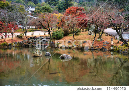 Maruyama公園在深秋 114490950