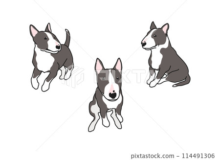 鬥牛犬簡單插圖集 114491306