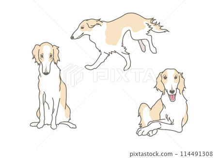 Borzoi simple illustration material set (realistic touch) 114491308