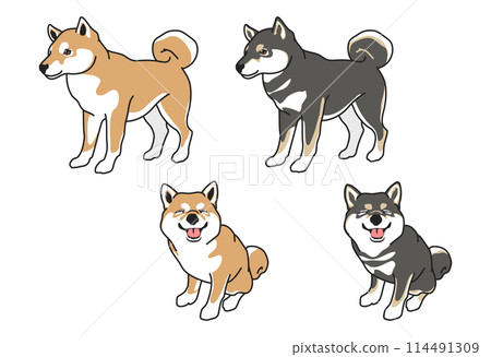 A simple illustration set of Shiba Inu (red and black) (realistic) 114491309