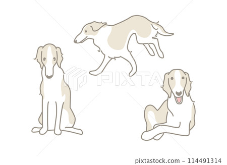 Borzoi simple illustration material set Borzoi simple illustration material set 114491314