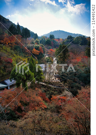 深秋的京都清水寺 深秋的京都清水寺 114491422