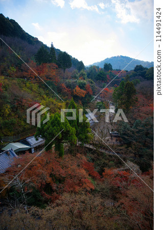深秋的京都清水寺 深秋的京都清水寺 114491424