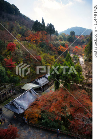 深秋的京都清水寺 深秋的京都清水寺 114491426