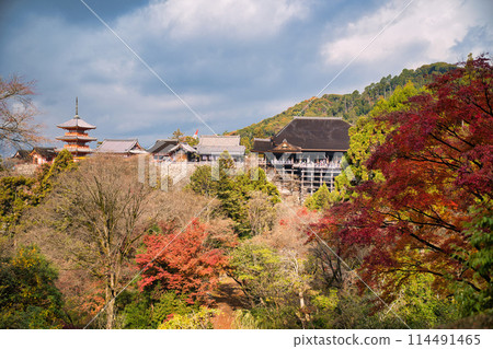Kiyomizu-dera Temple in late autumn, Kyoto 114491465