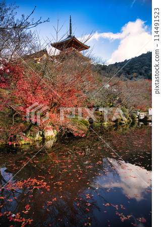 Kiyomizu-dera Temple in late autumn, Kyoto 114491523