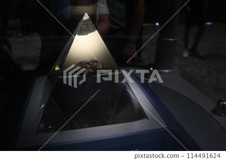 甘迺迪太空中心,月亮岩 甘迺迪太空中心,月亮岩 114491624