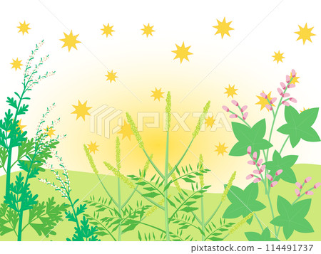 秋季散發花粉的植物插圖 秋季散發花粉的植物插圖 114491737