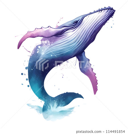 3d breaching humpback whale  114491854