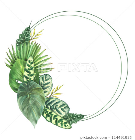 Tropical green leaves wreath, exotic home plant, Monstera palm, creeper. Variety of leaf types circle frame. Botanical jungle clipart. Watercolor hand drawn illustration. Isolated white background. Tropical green leaves wreath, exotic home plant, Monstera palm, creeper. Variety of leaf types circle frame. Botanical jungle clipart. Watercolor hand drawn illustration. Isolated white background. 114491955