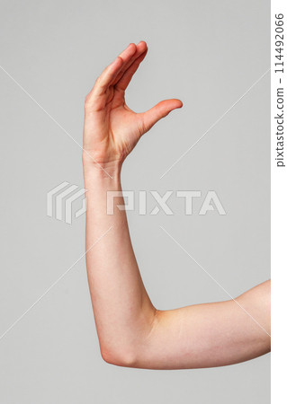 Elevated Bare Human Arm Bent at the Elbow Against a Neutral Background 114492066