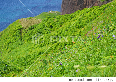 Cape Tour Course 114492349