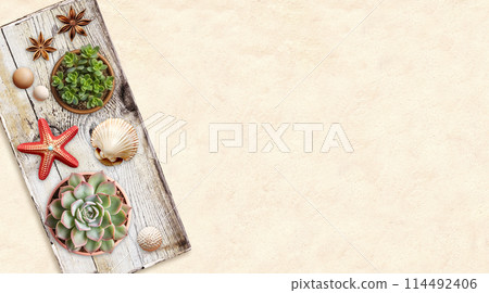 Travel background with shell, wood beads, toy starfish, succulents in pot on old wooden board. Ecology, environmental conservation and zero waste concept. Mock up template. Copy space for text Travel background with shell, wood beads, toy starfish, succulents in pot on old wooden board. Ecology, environmental conservation and zero waste concept. Mock up template. Copy space for text 114492406