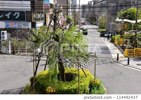 Kyoto City: Scenery in front of JR Yamashina Station and the rotary in front of the station Kyoto City: Scenery in front of JR Yamashina Station and the rotary in front of the station 114492437
