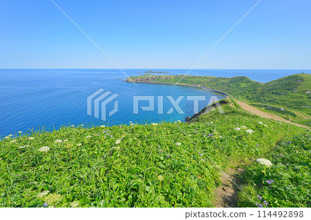 Cape Tour Course 114492898