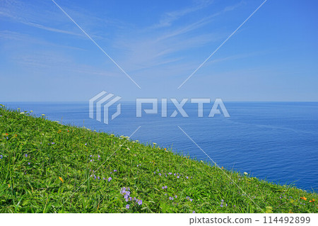 Cape Tour Course 114492899