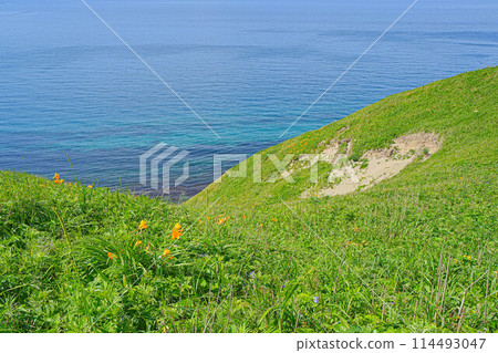 Cape Tour Course Cape Tour Course 114493047