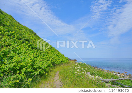 Cape Tour Course 114493070
