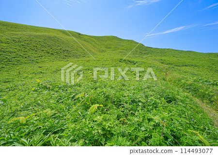 海角遊覽路線 海角遊覽路線 114493077