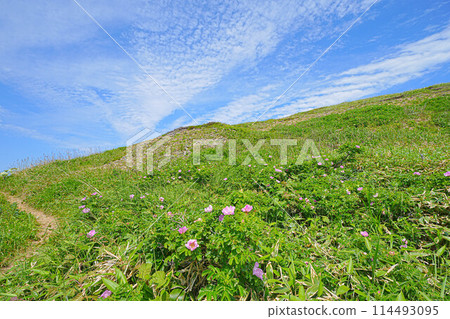 Cape Tour Course 114493095