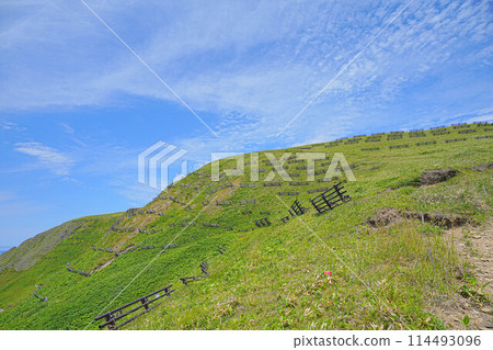 Cape Tour Course Cape Tour Course 114493096
