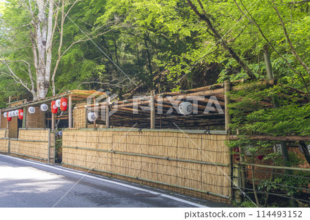 京都貴船河床鮮綠季節 114493152