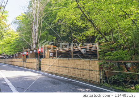 京都貴船河床鮮綠季節 114493153