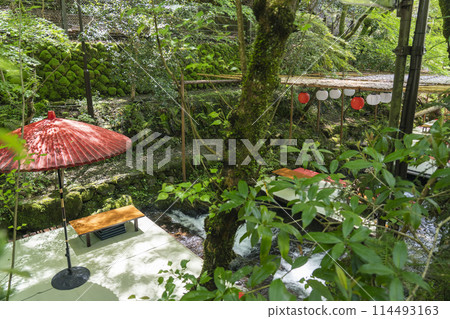 Kyoto, Kifune riverside terrace, the season of fresh greenery 114493163