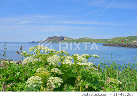 Cape Tour Course Cape Tour Course 114493263