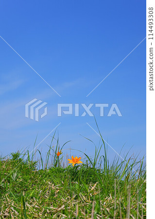 海角遊覽路線 海角遊覽路線 114493308