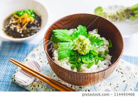 Fresh wasabi rice bowl Fresh wasabi rice bowl 114493466