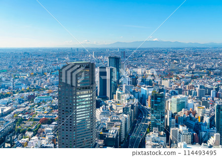 Tokyo and Mt. Fuji 114493495