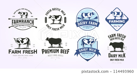 set bundle cattle farm logo template. bundling of dairy farm logo vector design. illustration vintage of cow, farm, milk set bundle cattle farm logo template. bundling of dairy farm logo vector design. illustration vintage of cow, farm, milk 114493960