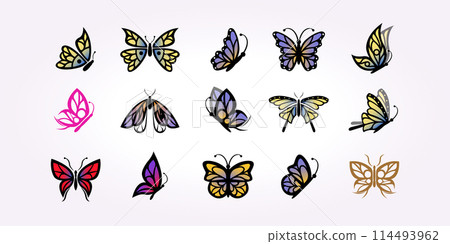 set bundle icon of butterfly icon logo vector vintage template. illustration design of insect metamorphose 114493962