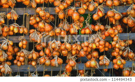 陰涼處曬洋蔥的風景 陰涼處曬洋蔥的風景 114494343